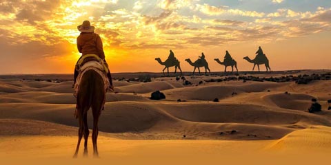 Adventures Every Traveller should Enjoy in Abu Dhabi